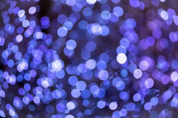 holiday glare of light (Christmas)