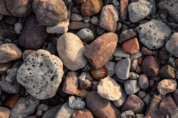 pebbles, sand and shells on the seashore