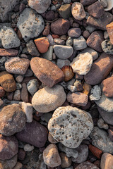pebbles, sand and shells on the seashore