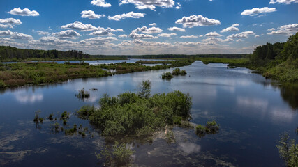 White clouds are reflected in the pond. The upper reaches of the Yauza River. Swampy river