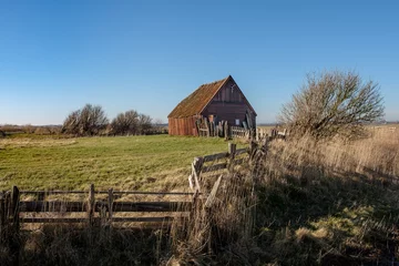 Fototapete Texel, Noord-Holland province, The Netherlands © Holland-PhotostockNL