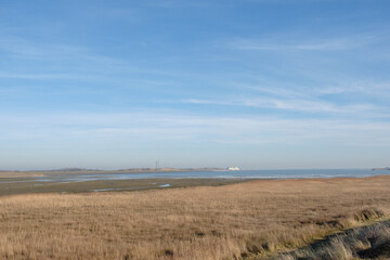 Fototapeta premium Texel, Noord-Holland province, The Netherlands