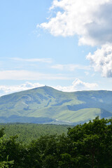 霧ヶ峰,日本百名山,百名山,湿地,新緑,緑,森,ハイキング,自然,登山,夏,夏山,夏空