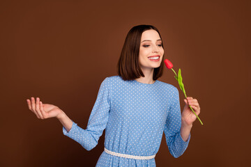 Photo of lovely bob hairdo millennial lady smell flower wear blue blouse isolated on brown color background