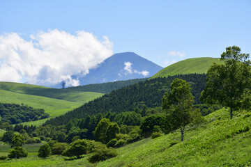 霧ヶ峰,日本百名山,百名山,湿地,新緑,緑,森,ハイキング,自然,登山,夏,夏山,夏空