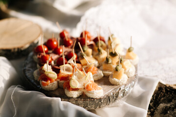 snack bar tartlets bread sliced tomatoes vegetables canapes cheese portions
