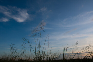 Obraz premium sky and clouds