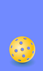 Realistic pickleball ball