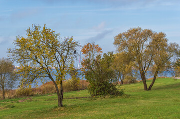 Fototapeta na wymiar Daugava Promenade on sunny autumn day. Trees in autumn foliaga in the foreground. Hooded crow perched on the tree. River and Riga skyline on the background