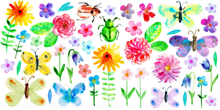 Set of colourful bright watercolor butterflies, bugs and flowers