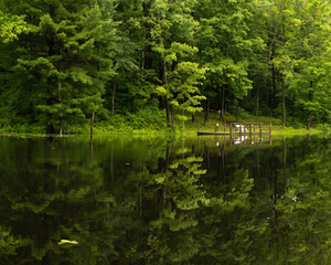 Summer Reflections