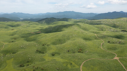 秋吉台　山口県　カルスト