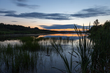 The Leon-Provancher Marsh seen during a blue hour summer dawn, Neuville, Quebec, Canada