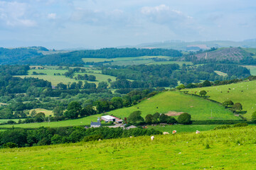 Fototapeta na wymiar Rural Pembrokshire in Wales