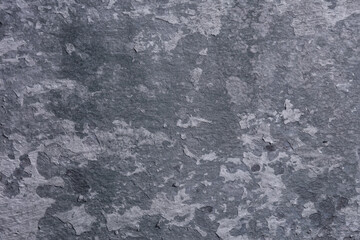 gray stucco grunge wall, abstract background gray wall blank