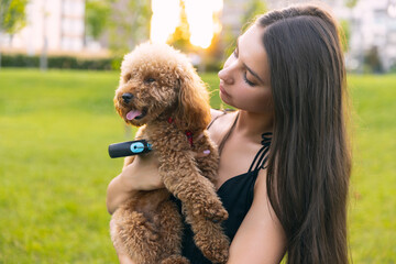 Young girl and her pet, little golden poodle dog strolling in public park, outdoors. Summer time....