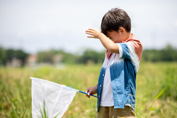 little boy chasing insects and butterfly in the nature green field