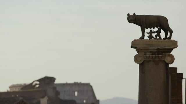 The statue of the Capitoline Wolf with Romulus and Remus and the Coliseum in background, Rome, Italy