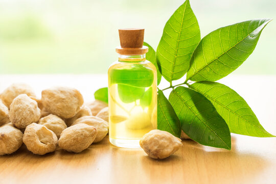 candlenut  essential oil on wooden natural background