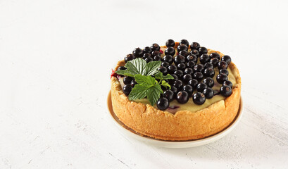 delicious homemade cheesecake with black currant berries on top on a white background on the right. Place for text  