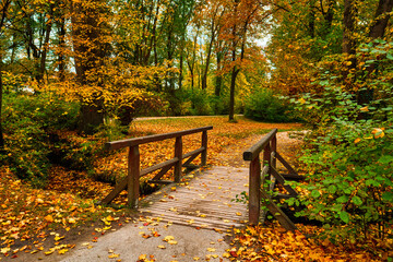Obraz premium Munich English garden Englischer garten park in autumn. Munchen, Bavaria, Germany