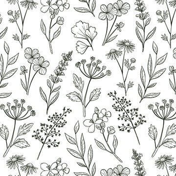 5,903 BEST Lotus Flower Line Drawing IMAGES, STOCK PHOTOS & VECTORS