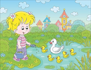 Obraz na płótnie Canvas Little girl farmer standing with a bucket of feed grain and feeding a merry brood of small yellow ducklings and a cute white duck on a pond in a village, vector cartoon illustration