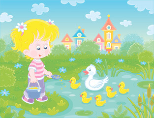 Obraz na płótnie Canvas Little girl farmer standing with a bucket of feed grain and feeding a merry brood of small yellow ducklings and a cute white duck on a pond in a village, vector cartoon illustration