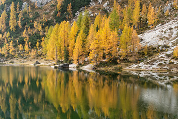 Lago de Federa, no outono, está localizado na Cortina D'Ampezzo, nas Dolomitas, Itália, Europa. As imagens são verdadeiros cartões postais.