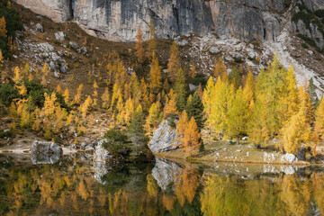 Lago de Federa, no outono, está localizado na Cortina D'Ampezzo, nas Dolomitas, Itália, Europa. As imagens são verdadeiros cartões postais.