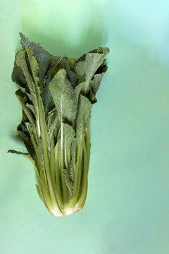 Vegetable consumed in Aragon, Spain called borage, scientific name Borago officinalis, eaten cooked, its fresh juice or borage oil.