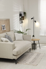 Comfortable sofa in stylish living room. Interior design