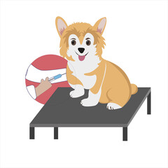 World Day Against Rabies.
Rabies vaccine. Vaccination for a dog. The veterinarian gives the dog an injection. Prevention and health. Animal protection.