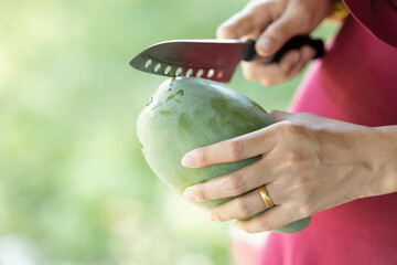 closeup mango on hand women. women asia is cutting mango on blur background.