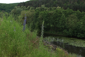 Ukrainian river Southern Bug flows through a picturesque hilly area