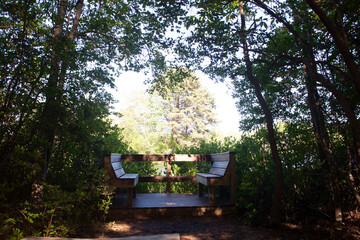 bench in the park