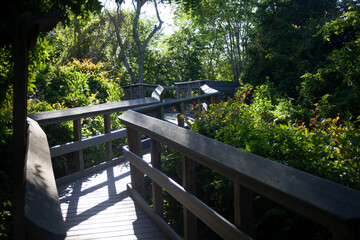 wooden bridge in the park