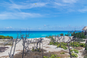 Cancun Beach no Caribe Mexicano 