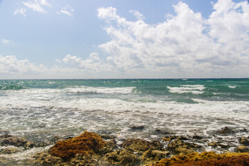 Mar do Caribe Mexicano - Riviera Maya - México