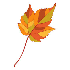 Autumn maple leaf isolated on white background. Simple cartoon flat style vector illustration.