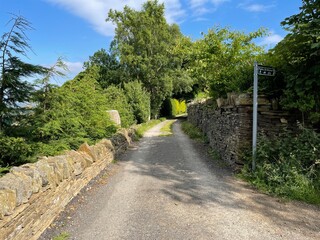 View along, Cliffe Lane, with dry stone walls, trees, and a blue sky in, Thornton, Bradford, UK