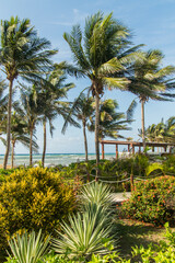 Sombra e Água fresca no Caribe Mexicano - Riviera Maya