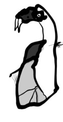 illustration of a cartoon penguin