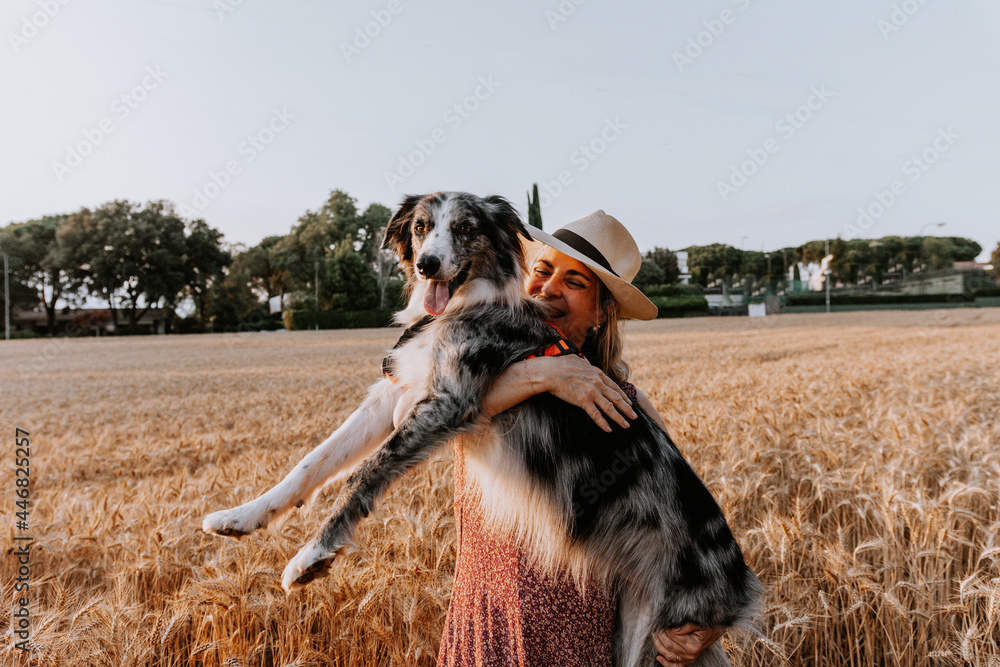 Wall mural dog love. Adult woman hugging and holding her adorable border collie dog in a wheat fiel on summer.