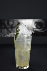 refreshing alcoholic drink with berries, ice vodka and gin, lemon peel served in glass cup on the counter on blurred background