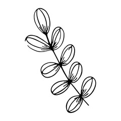 Isolated sketch of a tree leaves Vector illustration