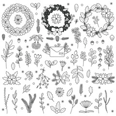 Christmas floral elements. Xmas hand drawn leaves, branches, holly berries and rowan doodle vector illustration set. Decorative Christmas floral symbols