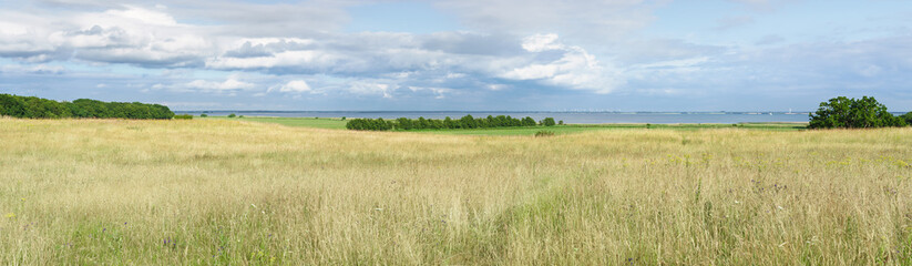 Obraz premium Landschaft auf dem Darß