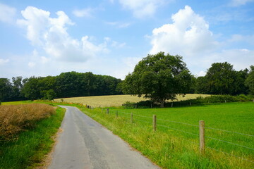 Fototapeta na wymiar Hoher Hagen, Hoester Berge bei Oelde, hügelige Landschaft mit Wiesen und Bäumen im Münsterland, Westfalen