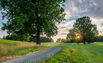Rural scene with hay bales near sunset in midsummer in central Virginia